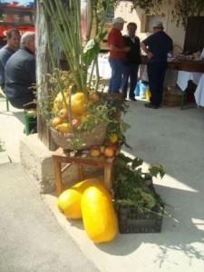 20120921114821