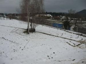2013018162923